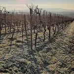 فندق Weingut Magdalenenhof 3*