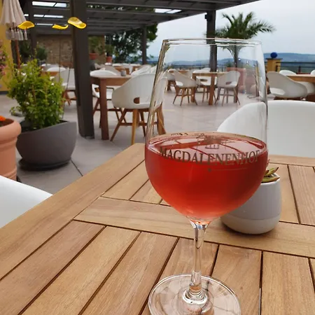 Hotel Weingut Magdalenenhof Ruedesheim am Rhein