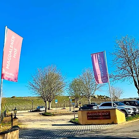 فندق Weingut Magdalenenhof 3*