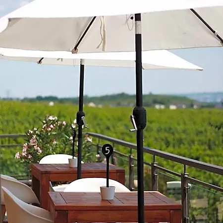 فندق Weingut Magdalenenhof