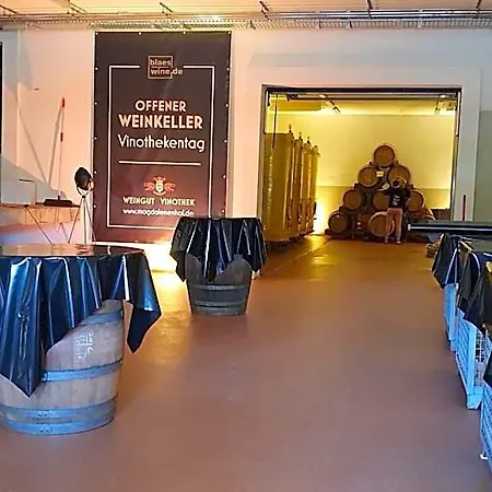 فندق Weingut Magdalenenhof روديسهايم ام رين