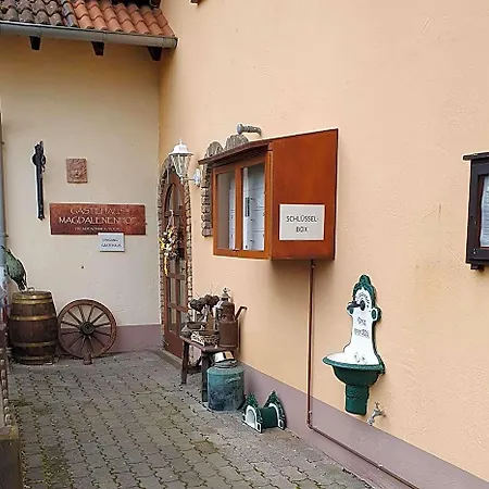 Weingut Magdalenenhof 3* روديسهايم ام رين