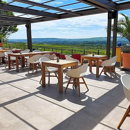 Weingut Magdalenenhof روديسهايم ام رين