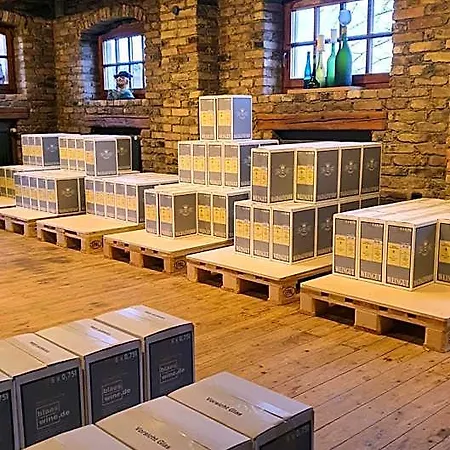 فندق Weingut Magdalenenhof 3*