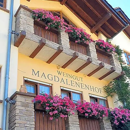 Weingut Magdalenenhof 3* روديسهايم ام رين