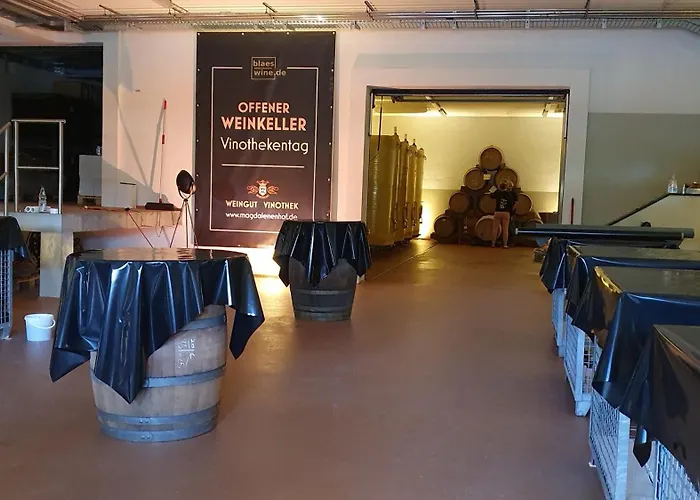 Hotel Weingut Magdalenenhof 3*