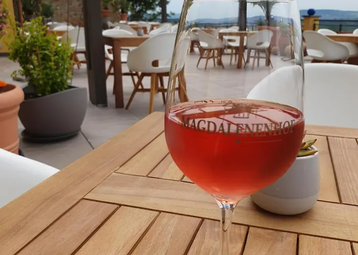 Hotel Weingut Magdalenenhof Rüdesheim am Rhein